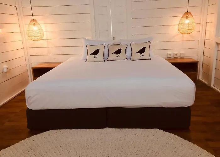 Auberge de jeunesse Elementsbnb *
