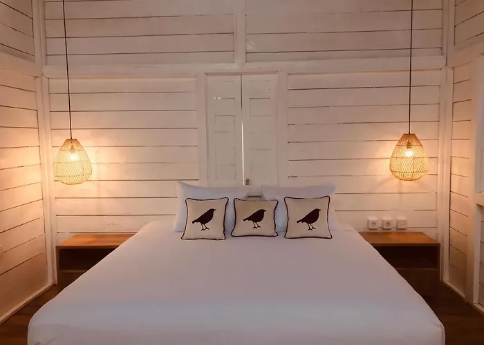 Auberge de jeunesse Elementsbnb Canggu
